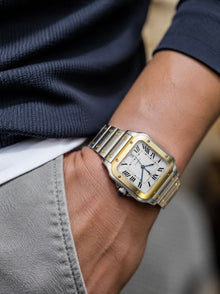 DM L03 Bicolor Prestige