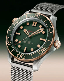 DM A04 Bronze Titanium